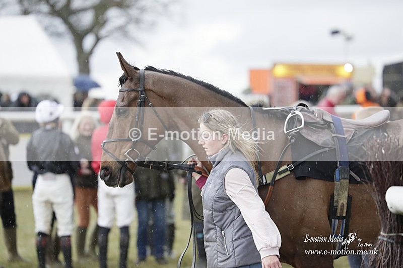 PtP 180323 1061 - Shelfield Park Races with Croome & West Warwickshire Hunt  18/03/23