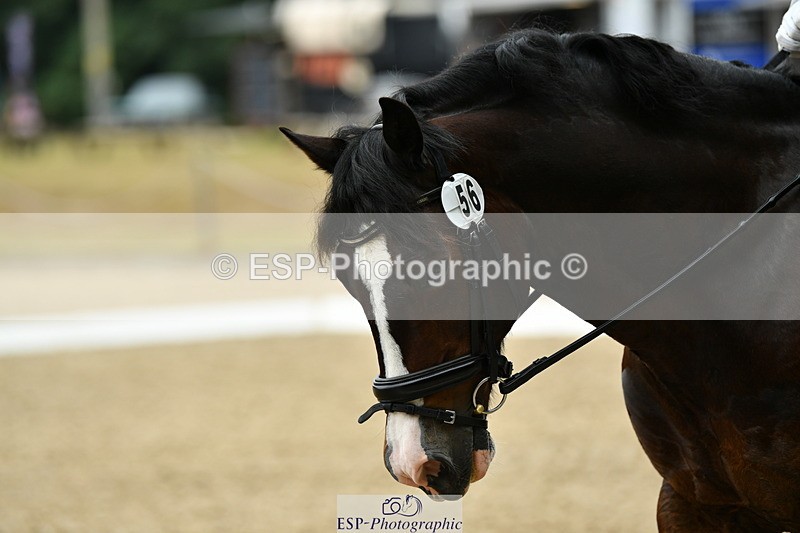 250718A-103327-00190 - 056-Emma.Murch-Gwynfaes.Llewelyn