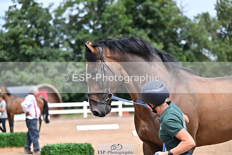 250716-132210-00464 - Trot Up 12.30 to 1.30