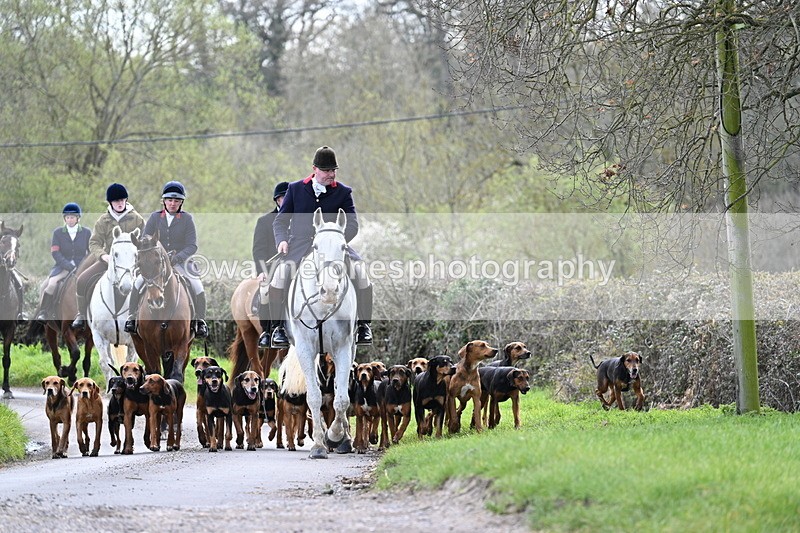 WJ7_9767 - Walk Home