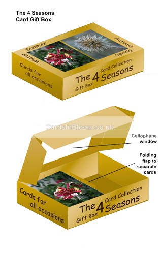 THE 4 SEASONS GIFT BOX - THE 4 SEASONS CARD COLLECTION