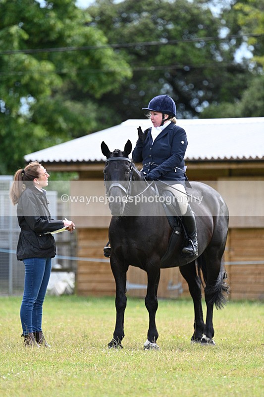 WJ7_8520 - Class 7  Riding Club Show Horse