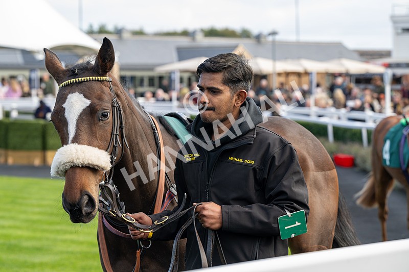 171026-Race 1-Lions Den-4537 - Race 1 1pm EBF 'Confined' Restricted Maiden Stakes