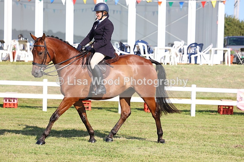 3E7A5492 - Class 2: Rising Star Large Hack/Riding Horse