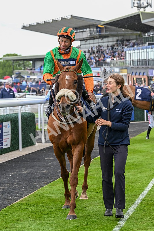 280525-Race 5-Hostelry-5684 - Race 5