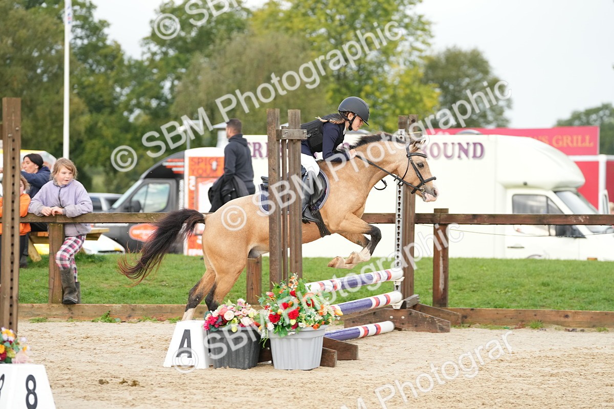 SBM_32347 - J5 - Junior Pony 50cm Championship
