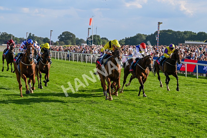 220826-Race 7-Raammee-1870 - Race 7 17.20pm Sky Bet Dav Reid Finale Handicap