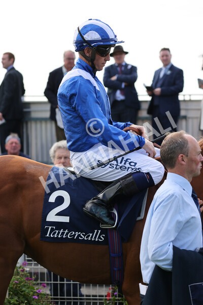 yr18082021r2-11 - Race 2 2.25pm Tattersalls Acomb Stakes