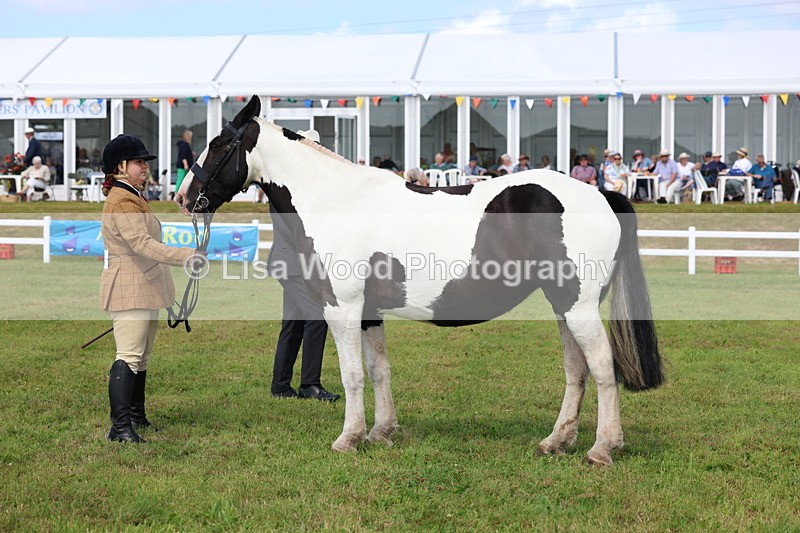 3E7A0043 - Class 5: Rising Star Lightweight/Heavyweight Cobs