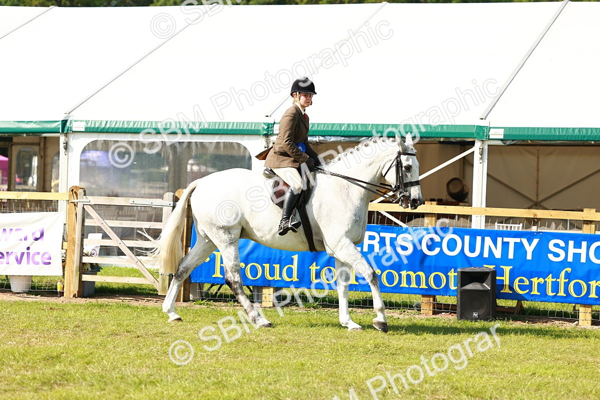 SBM_11933 - Class 66-69 - RIHS Ridden Hunters Inc Small Hunter