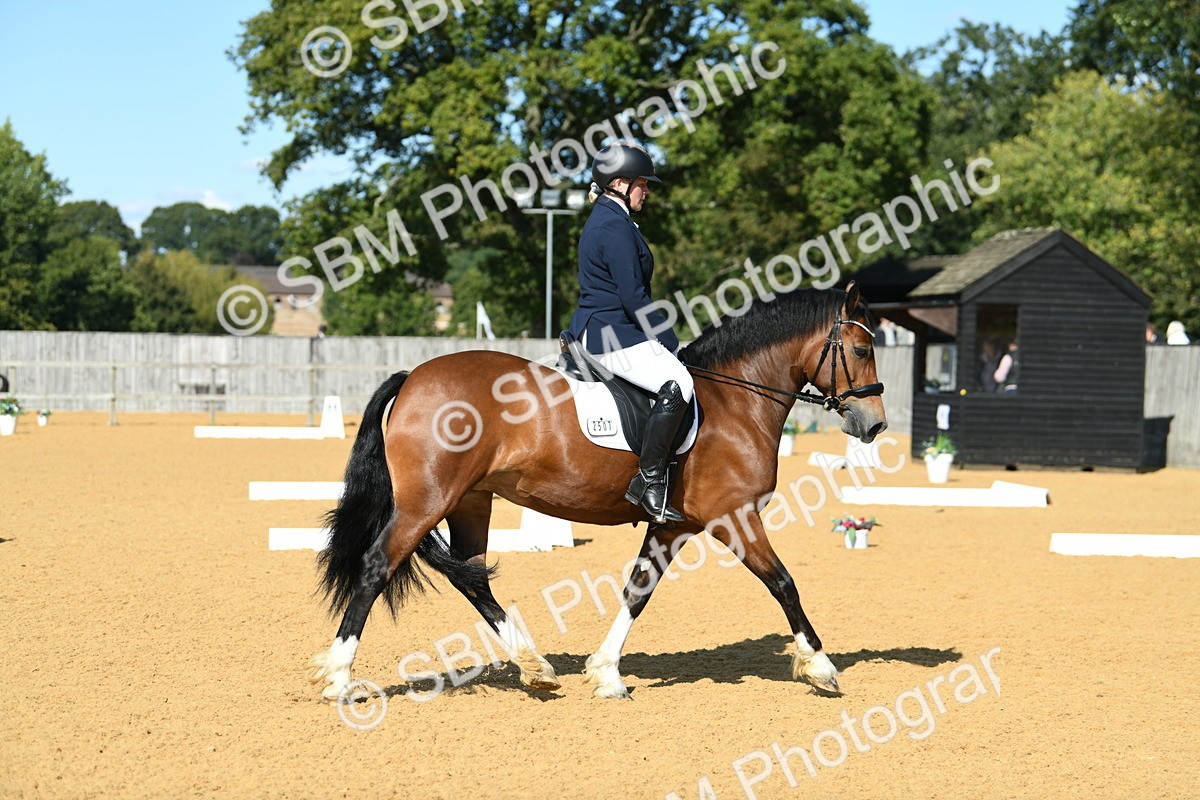 SBM_25011 - D13 - Grand Tour Championship - Prelim 12