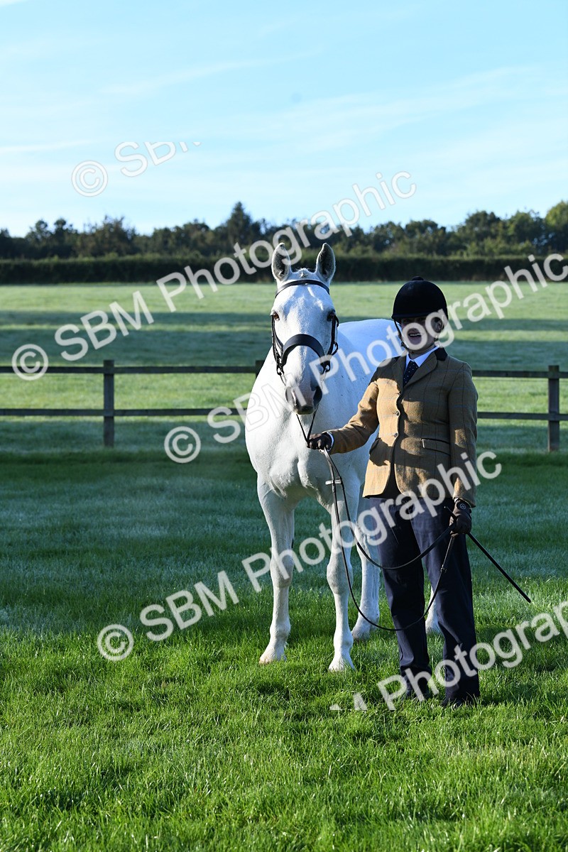 SBM_32672 - S15 - Condition & Turnout In Hand