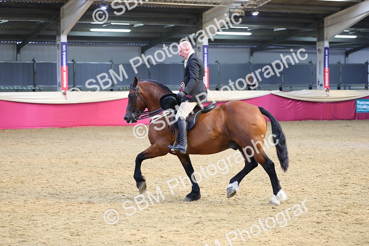 SBM_24715 - Class 906 - Supreme Final - Ridden Pre Vet