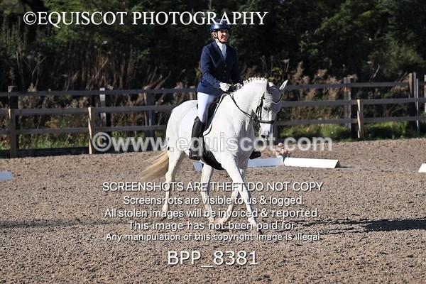 BPP_8381 - LONG ARENA