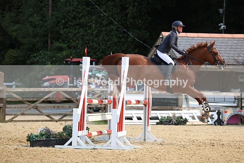 3E7A1387 - Class 4: Senior British Novice/90cm open