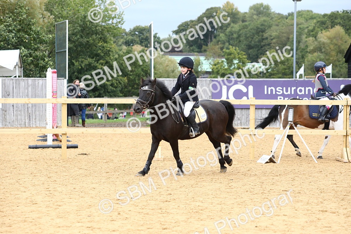 SBM_68219 - J3b - Mini Tour Junior Pony 40cm Championship