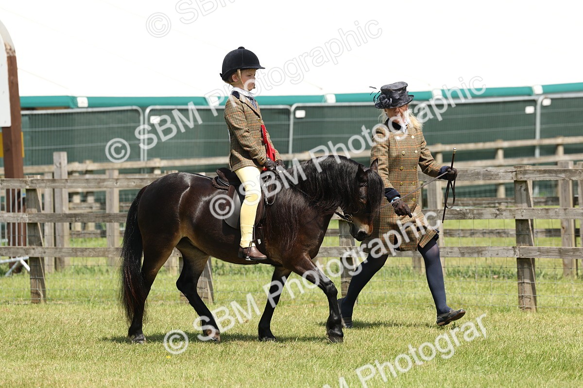 SBM_05411 - Class 24-25 - Mountain & Moorland In Hand Lead Rein and First Ridden