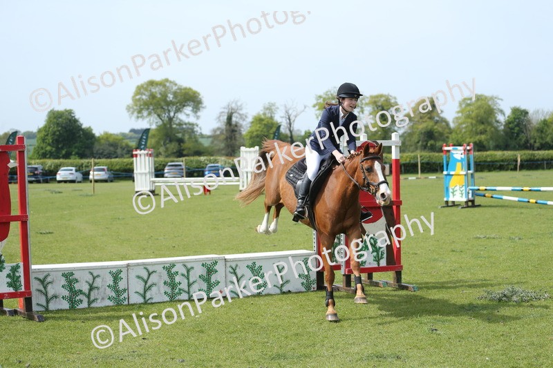 20260426-1730 - Class 14 - Novice 60cm