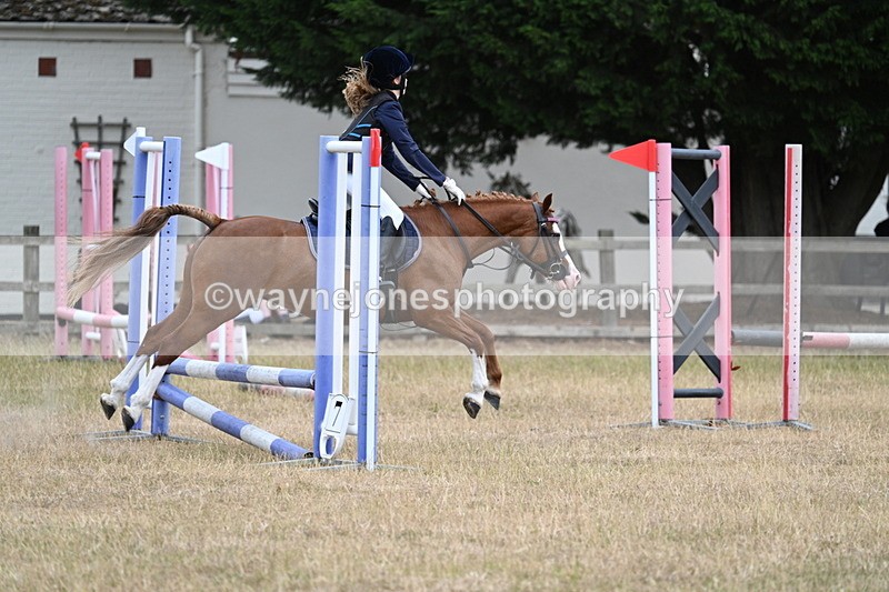 WJ7_1644 - Class 16 Pairs