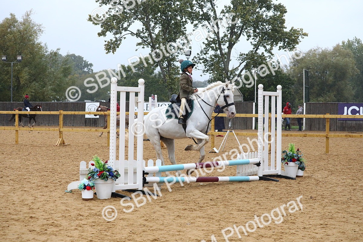 SBM_71458 - J4 - Mini Tour Junior Pony 45cm Championship