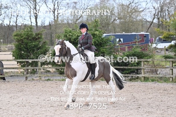 BPP_7525 - RING 1  (RIDDEN HORSES / IN HAND / VETERAN ETC)