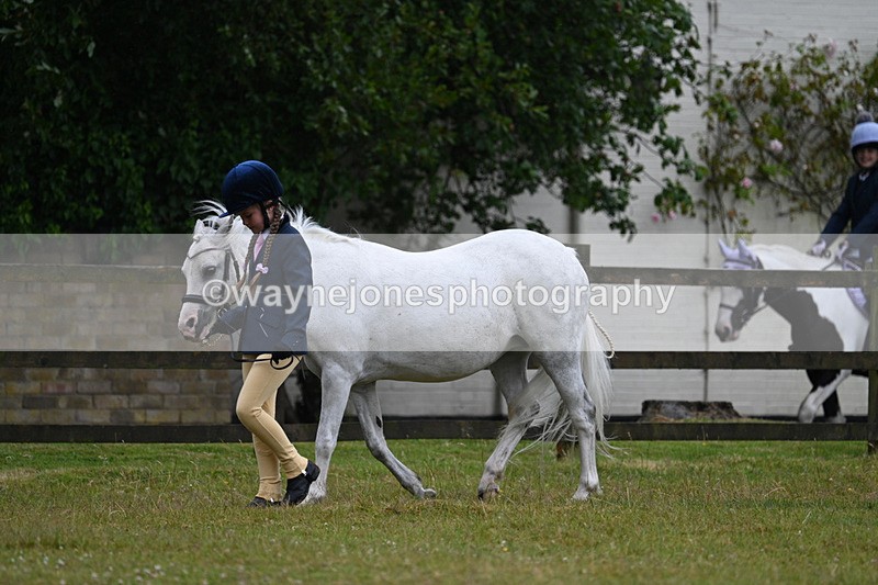 WJ7_5852 - Class 4 Prettiest Mare in Hand