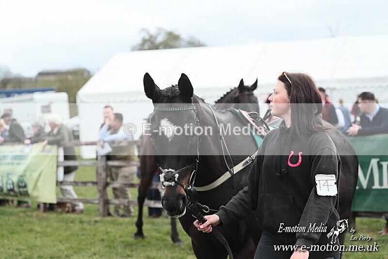 PtP 130425 17 - Edgecote Races 13/04/25