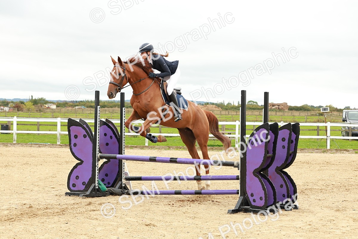 1I0A6956 - Class 2 - Senior British Novice