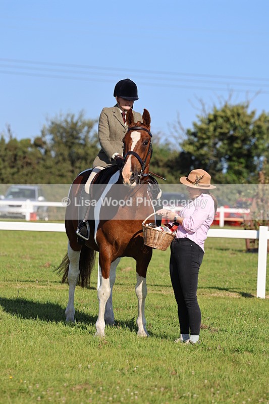 IMG_1331 - Class 27: Ridden Plaited Coloured Horse