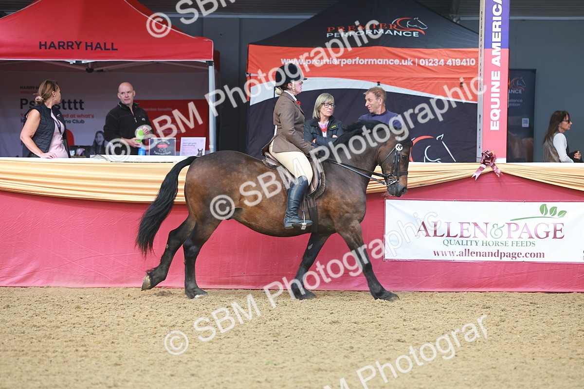 SBM_10540 - Class 103 - HOYS Veteran Qualifier - Ridden Pre Vet