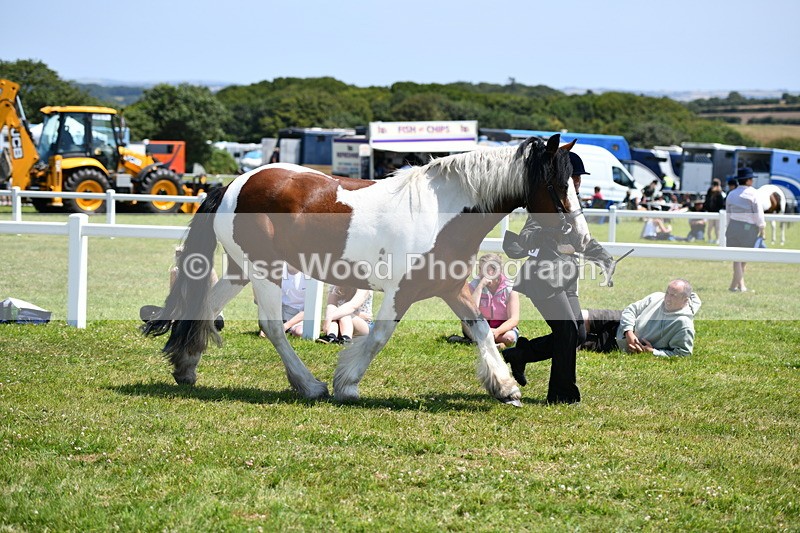 DSC_7568 - Class 64: Coloured Pony 4yrs & over