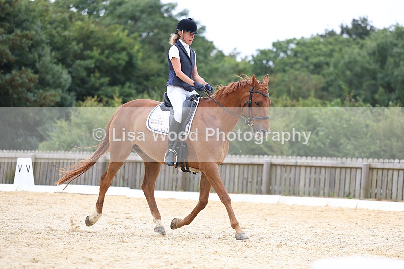 3E7A7461 - Class 9: Elementary 4 2024 - No sections