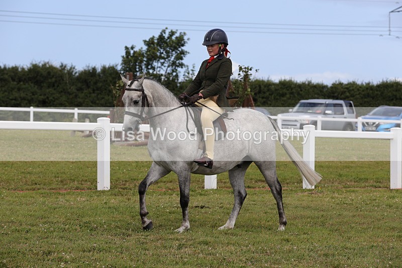 1X9A4040 - Class 32: Show Hunter Pony 153cm and under