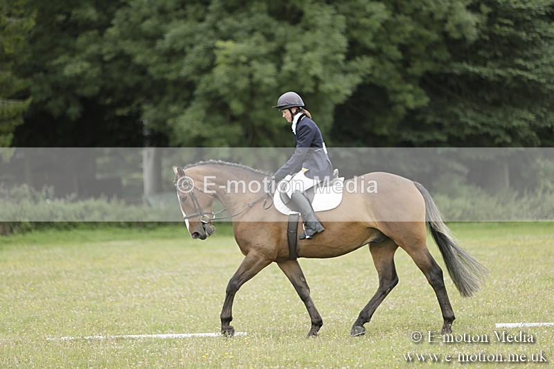 BVR160717-602 - Class 1 & 23a Dressage 16/07/17