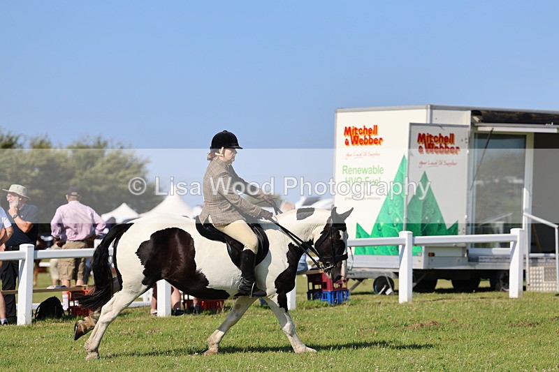 IMG_1552 - Class 30: Ridden Native/Trad Coloured Pony