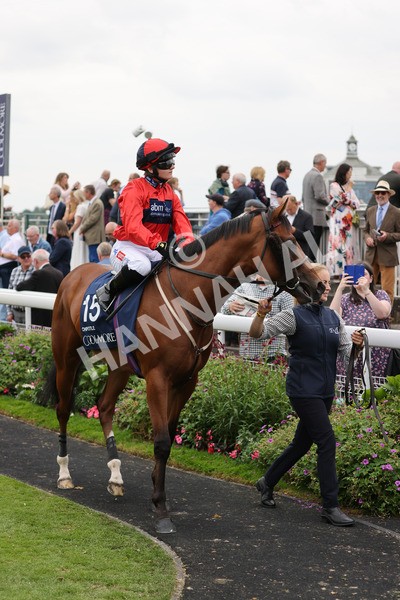 yr20082021r4-85 - Race 4 3.35pm Coolmore Wootton Bassett Nunthorpe Stakes (British Champions Series Race)