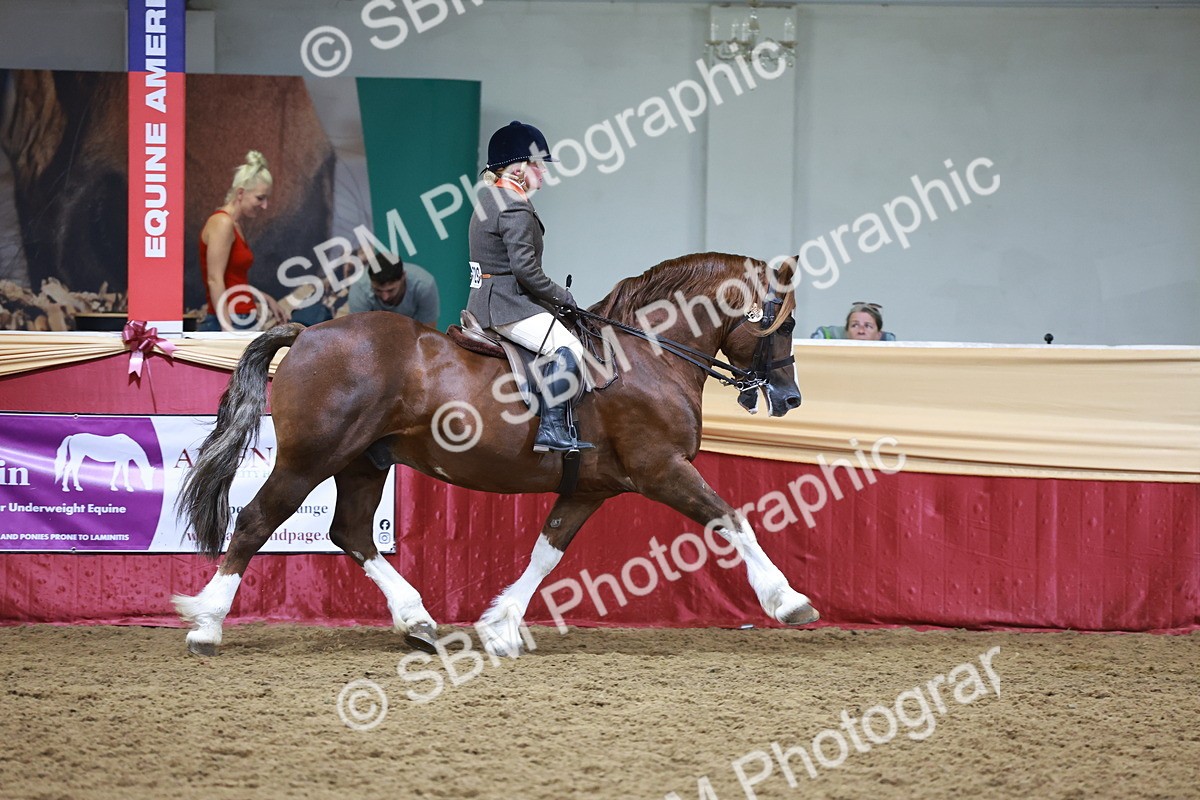 SBM_18829 - Class 952 - M&M Ridden Supreme Final