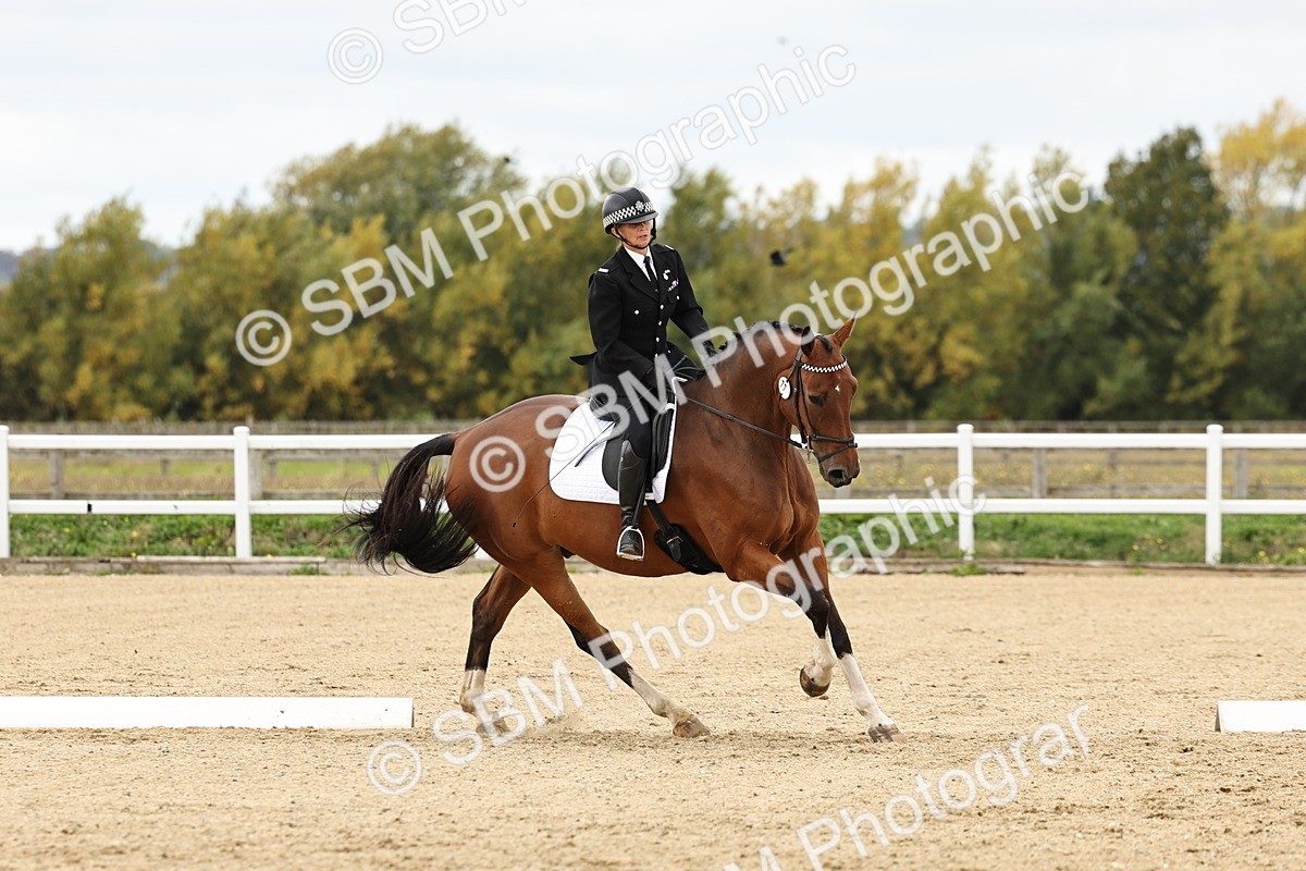SBM_004509 - Class 69 - Novice 2