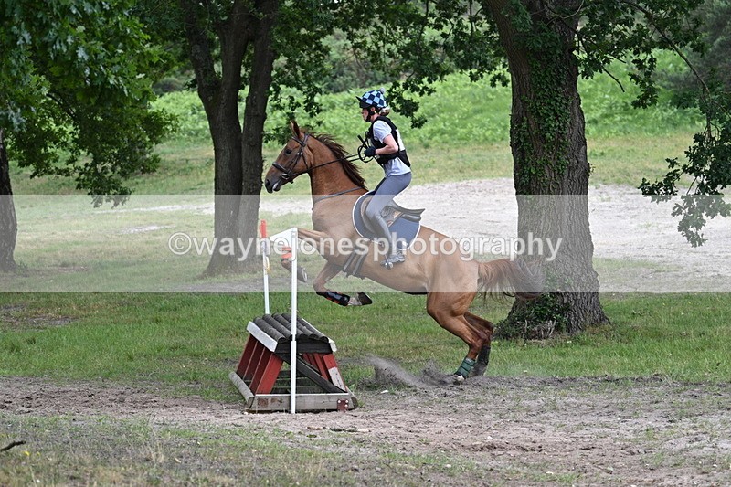 WJ7_9137 - Time 11:14 to 11:22