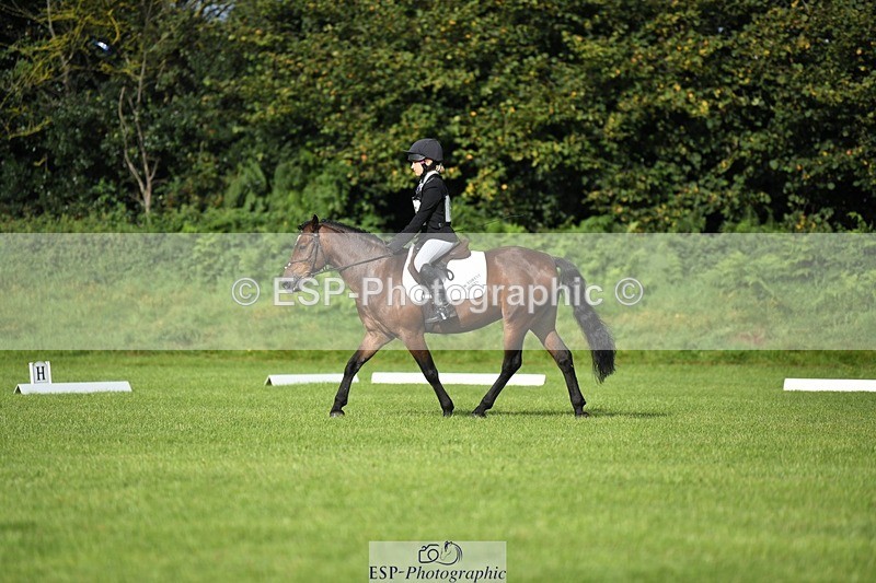 230826-090405-15015 - Sections C & D 9 to 10am