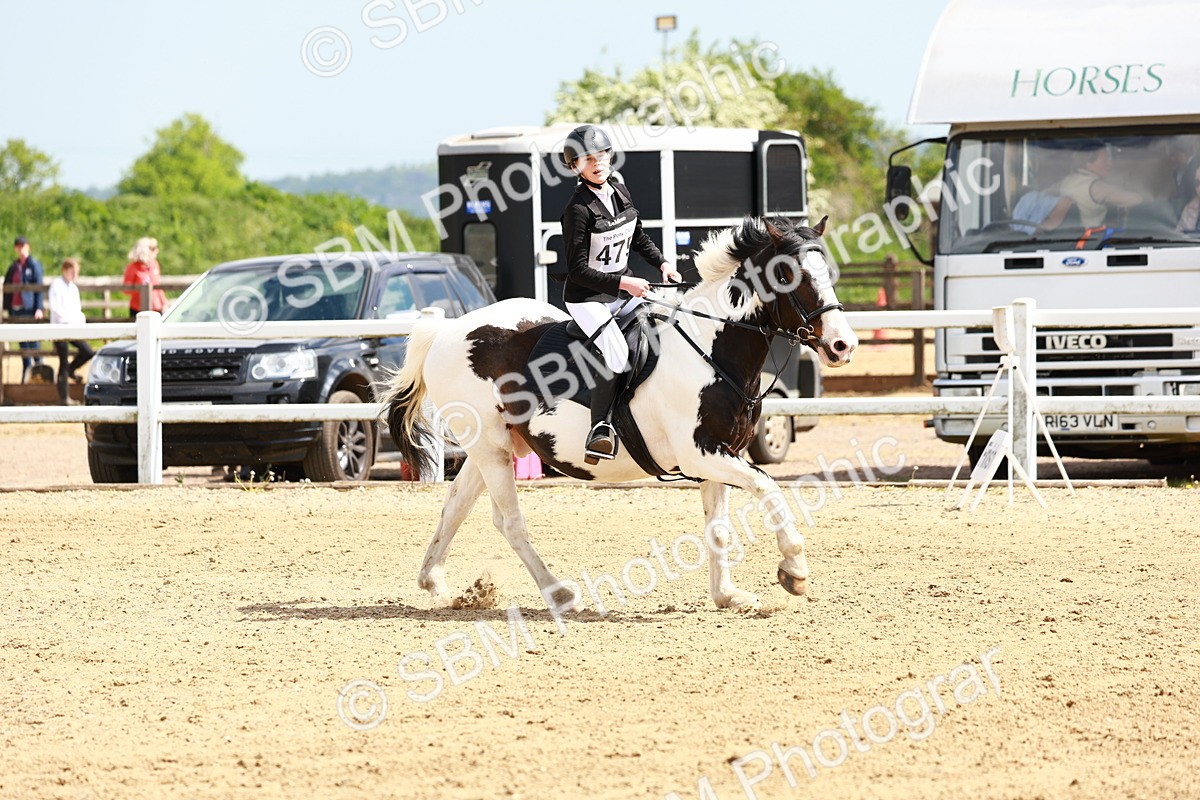 SBM_007997 - Class 3 - 60cm