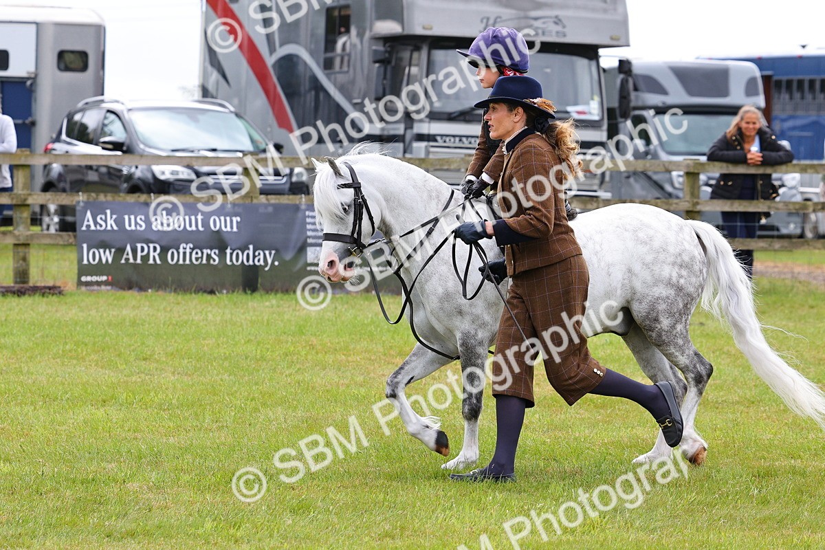 SBM_08263 - Class 42-43 - LIHS BSPS Heritage Working Sports Pony