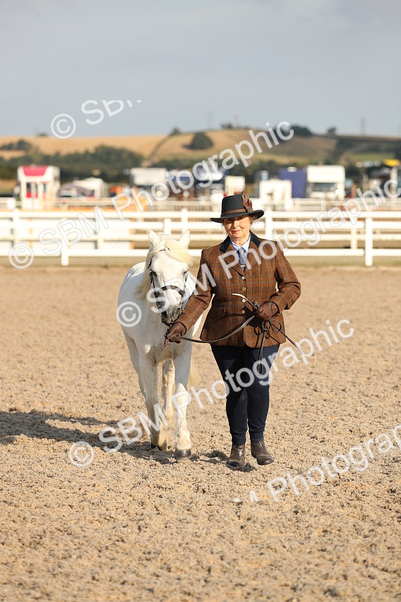 SBM_08967 - Class 29 IH Veteran Pony