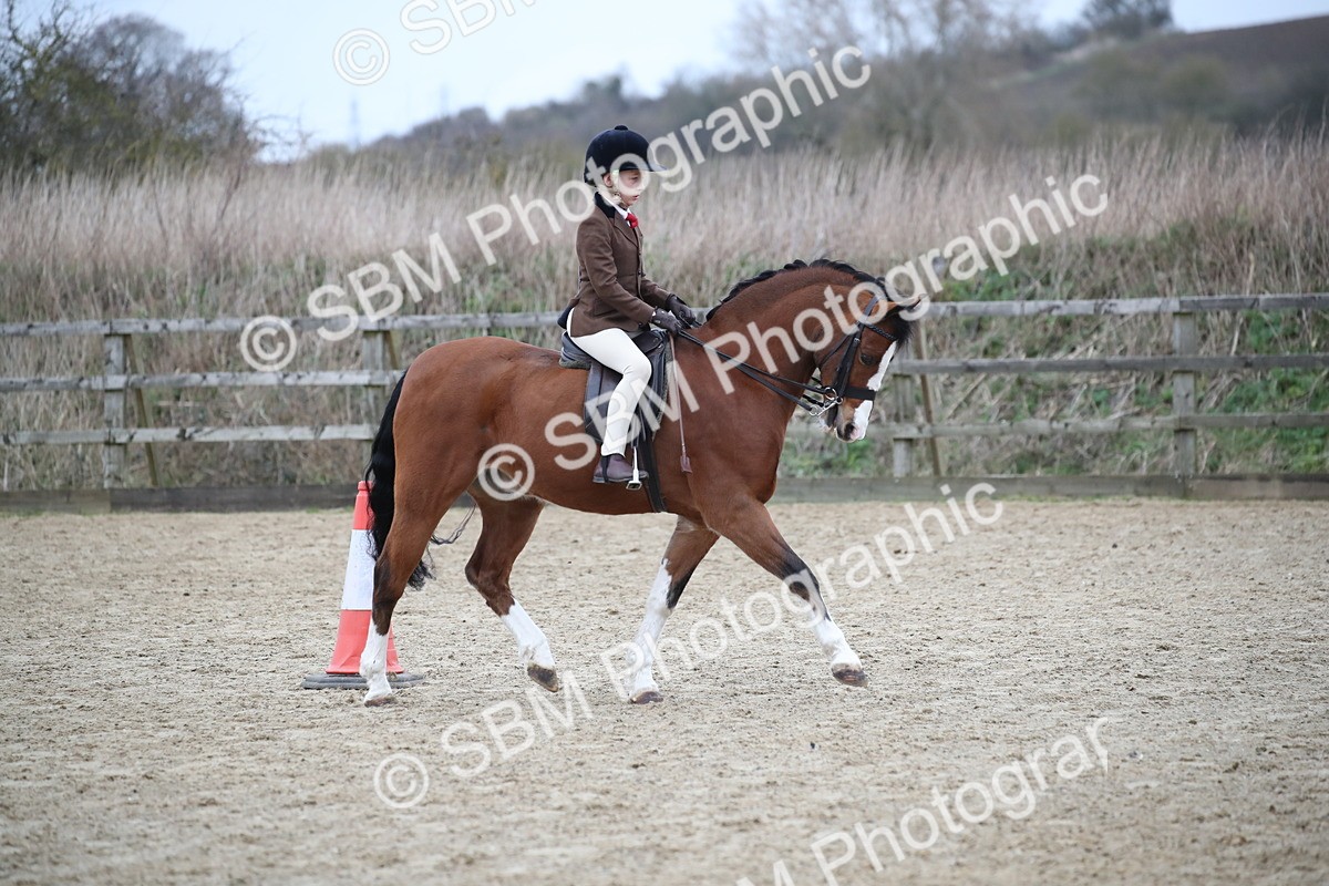 SBM_005892 - Class 10-13 - RIHS Small Large Breeds