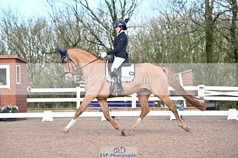 240218A-114158-06808 - 272-Beth.Bainbridge-Newton.Dreamcatcher