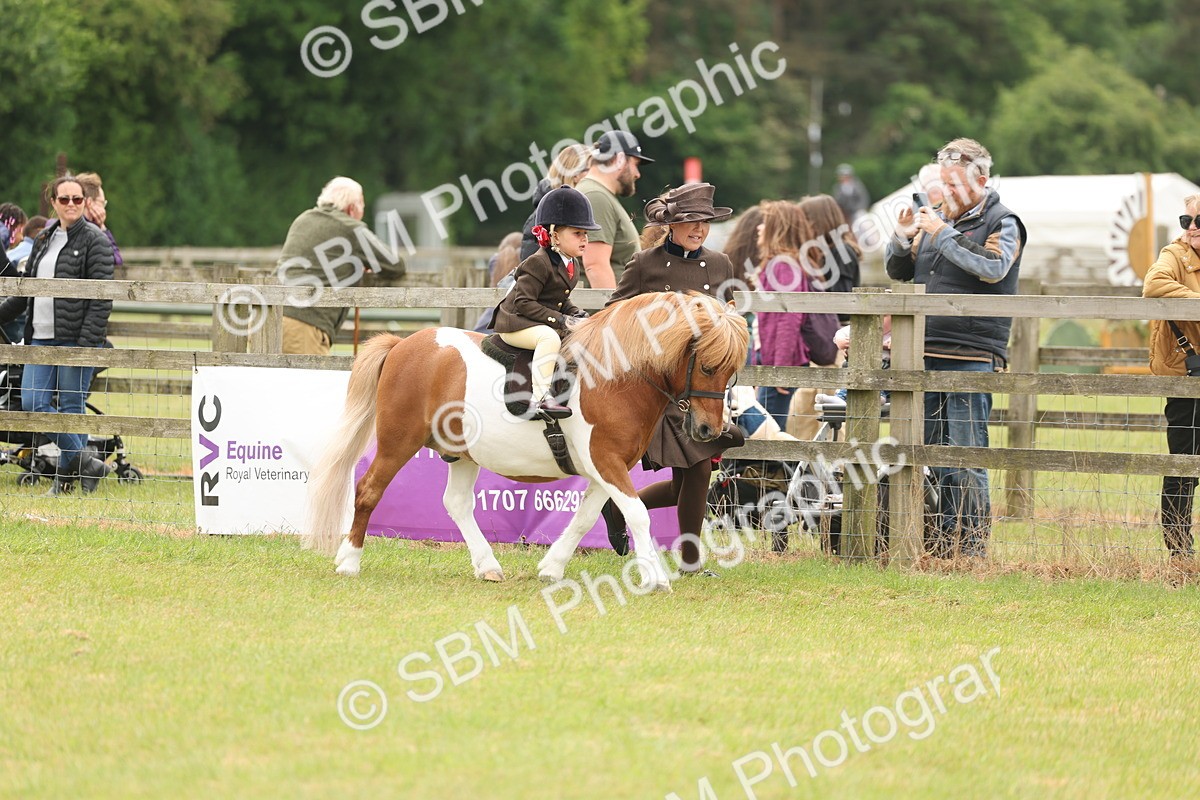 SBM_06653 - Class 74-75 - M&M Lead Rein and First Ridden Pony
