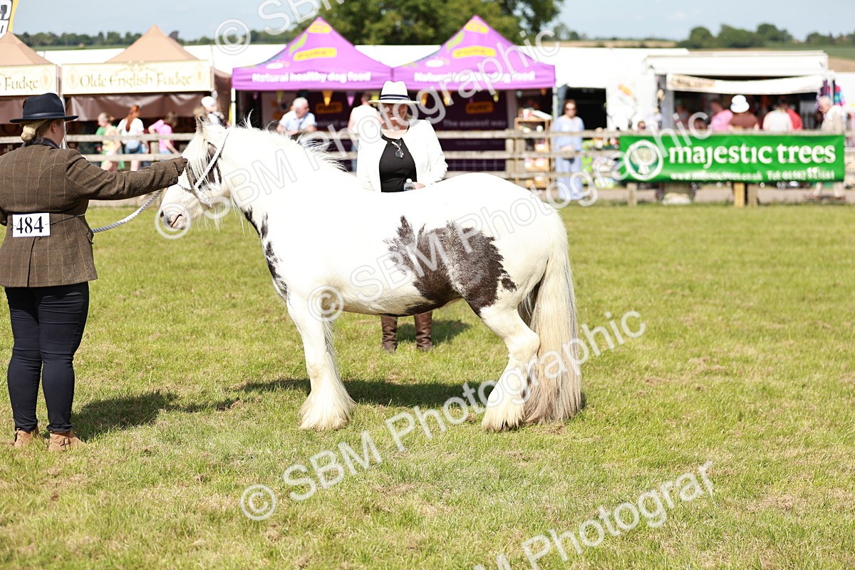 SBM_08620 - Class 63-65 - Traditional Gypsy Cobs In Hand & Ridden