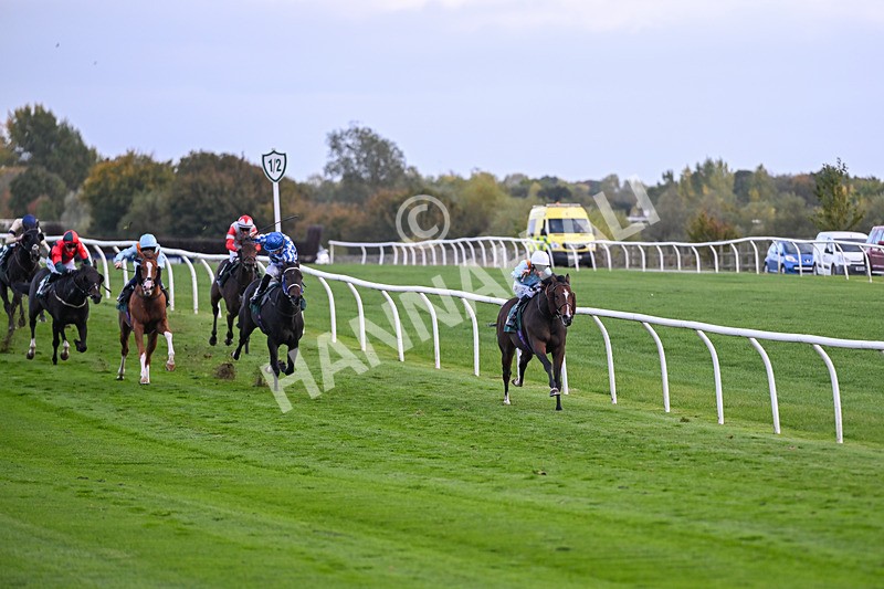 171026-Race 7-Lexington Blitz-6379 - Race 7 4.45pm William Hill Catterick Dash Handicap