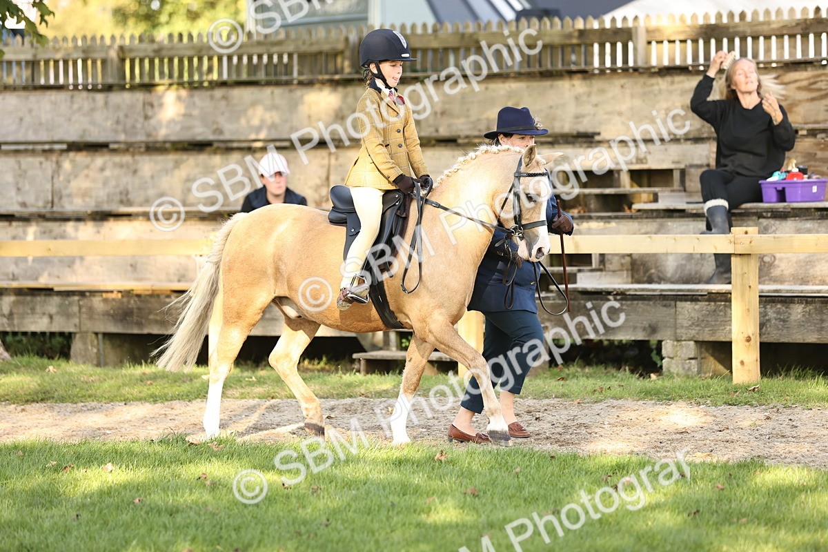 SBM_29361 - S7 - Novice & Newcomers Ridden Pony