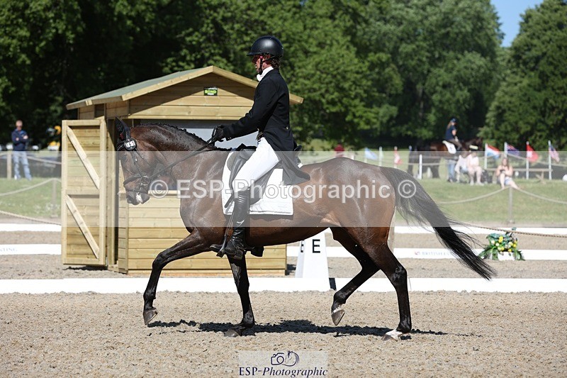 230526-102519-05258 - 361-FINCH_FANCY-Ben_Lee_Liles-WEDTrotUp+DR